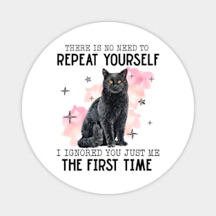 There Is No Need To Repeat Yourself Funny Cat Magnet